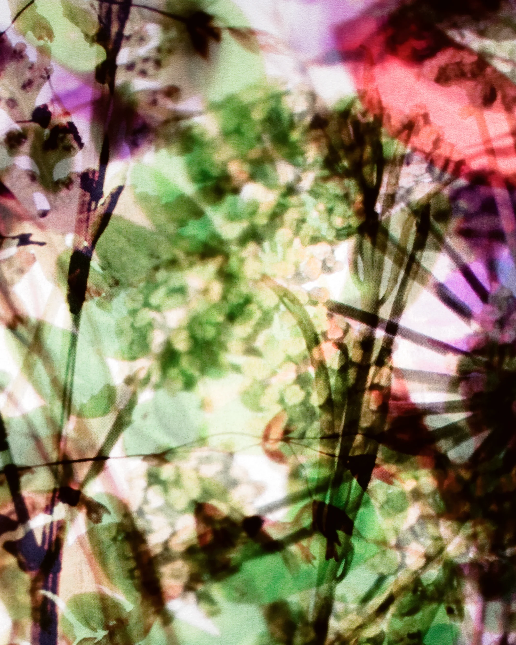 Memoria detail